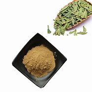 Image result for 绿茶提取物